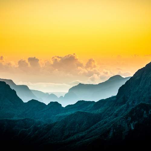 Photo #9271754