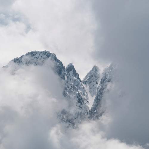 Photo #9271937