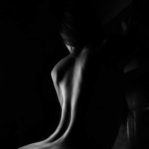 Photo #9272008