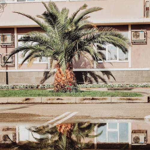 Photo #9272241