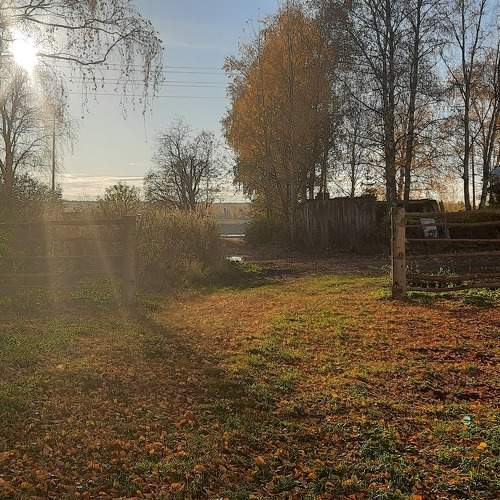 Photo #9272510