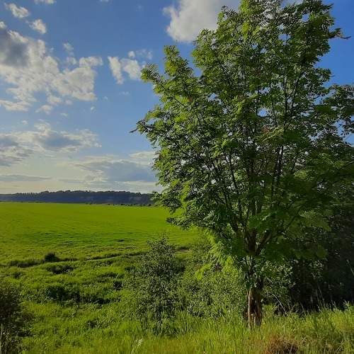 Photo #9272554
