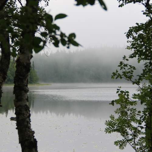 Photo #9272624