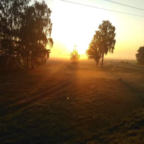 Photo #9273642