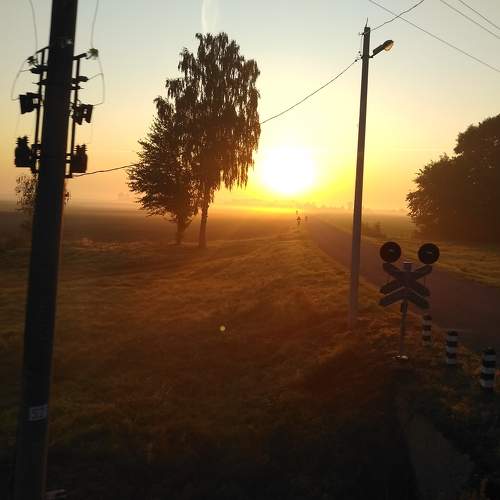 Photo #9273643