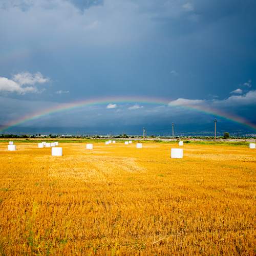 Nature supports ukraine.The end of war.