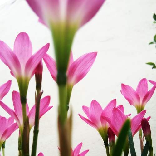 Photo #9274011