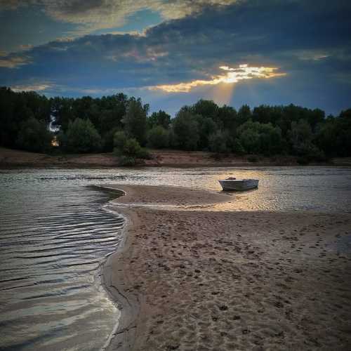 Photo #9274326