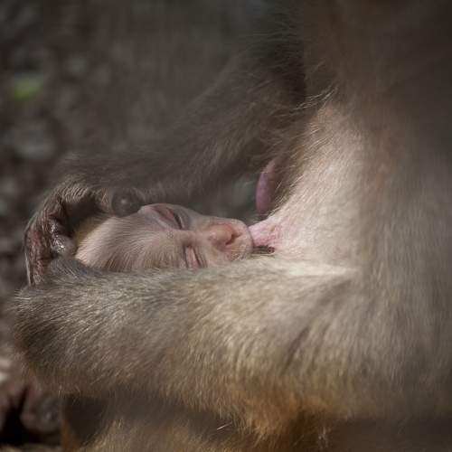 Photo #9274809
