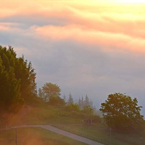 Photo #9274857