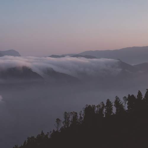 Photo #9275794