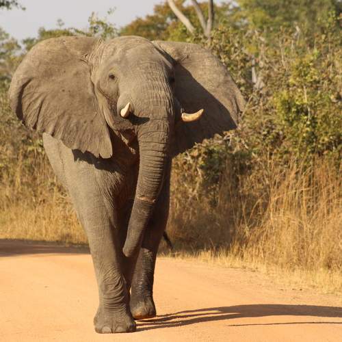 Photo #9275930