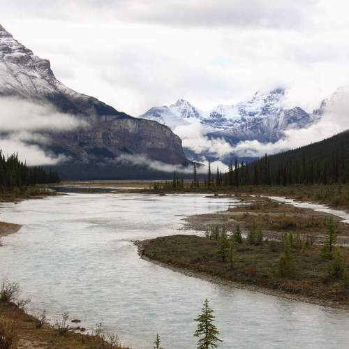 Photo #9276295