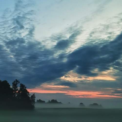 Photo #9276814