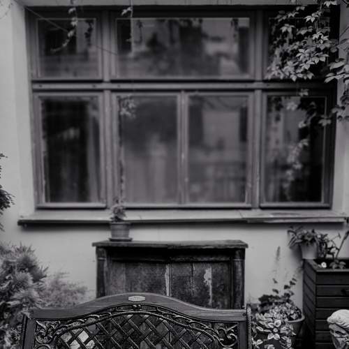 Photo #9277452