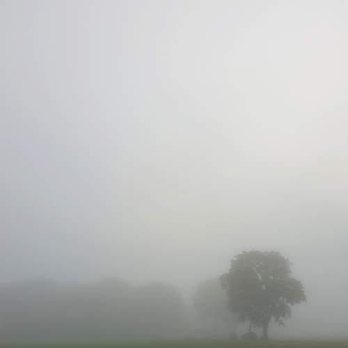 Photo #9277531