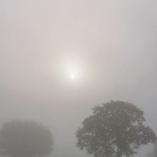 Photo #9277533