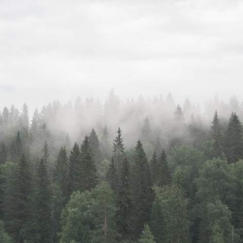 Photo #9278647