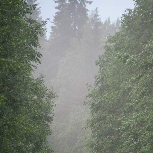 Photo #9278648