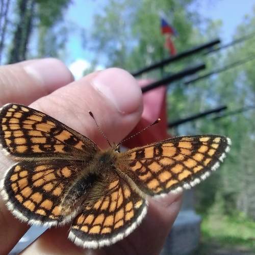 Photo #9278687