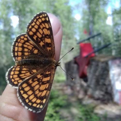 Photo #9278694