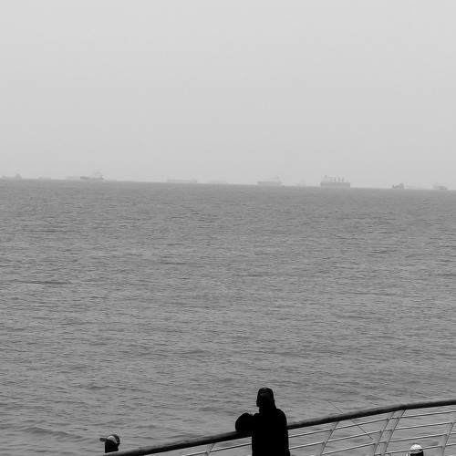 Photo #9279454