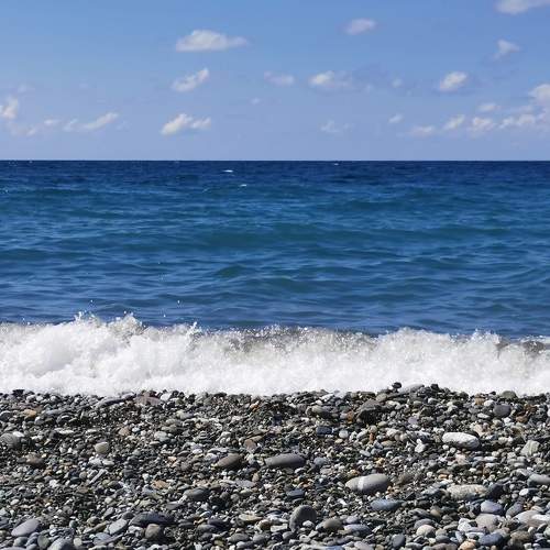 Photo #9279600