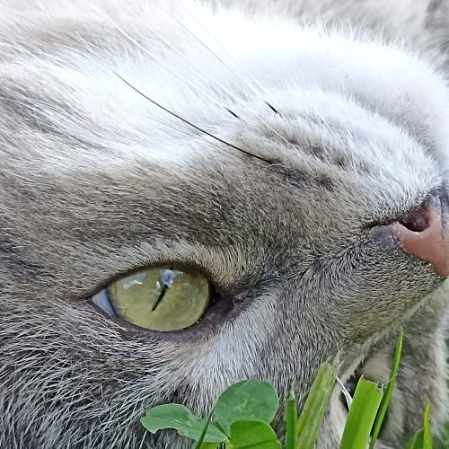 Photo #9280269