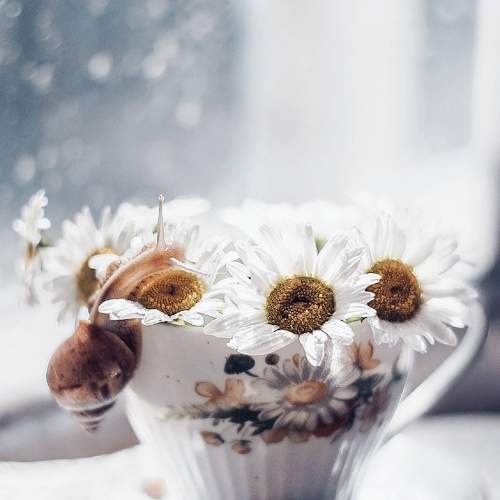 Photo #9280551