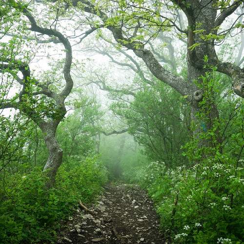 Photo #9280633