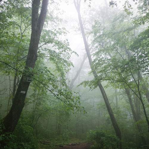 Photo #9280635
