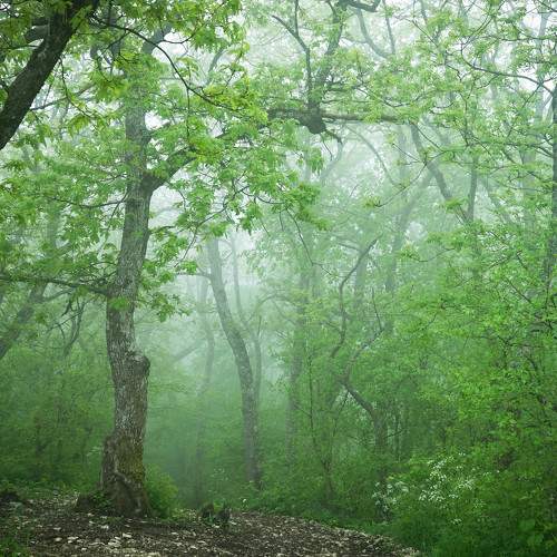 Photo #9280637