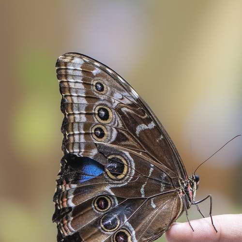 Photo #9280880