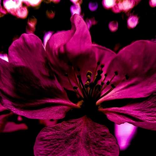 Photo #9281329