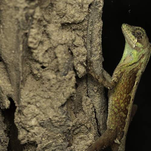 Photo #9281617