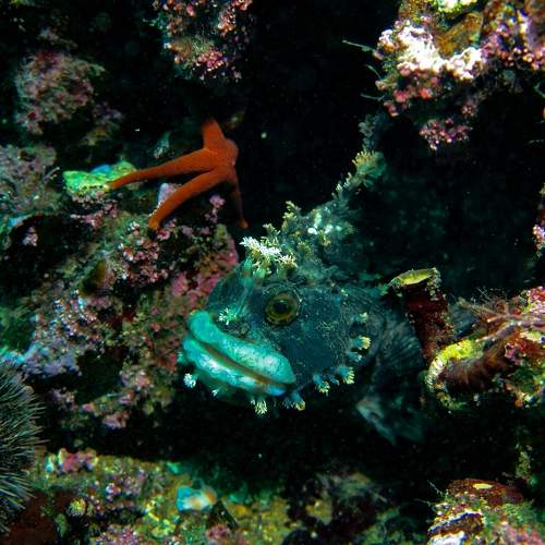 Photo #9281664