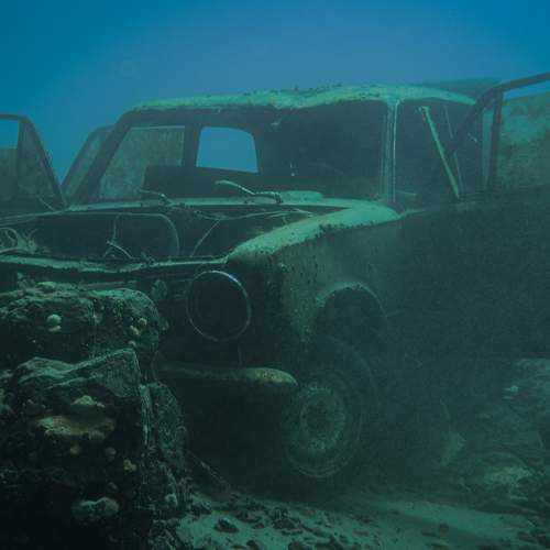 Photo #9281680