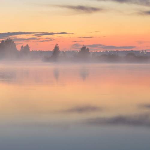Photo #9281695