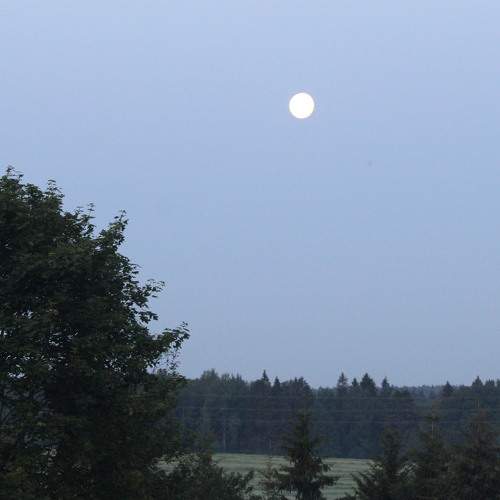Photo #9281756