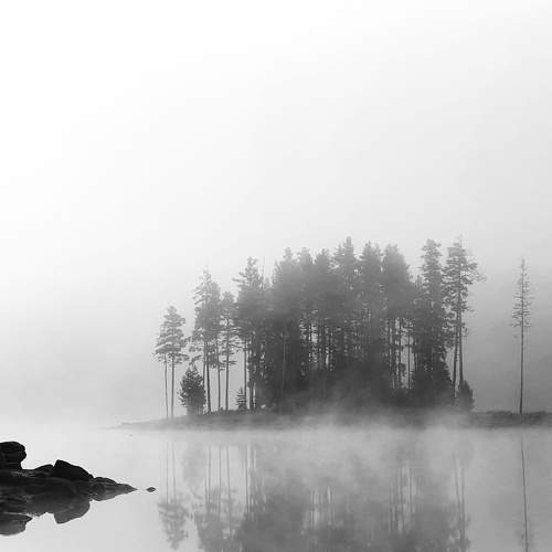 Photo #9282146