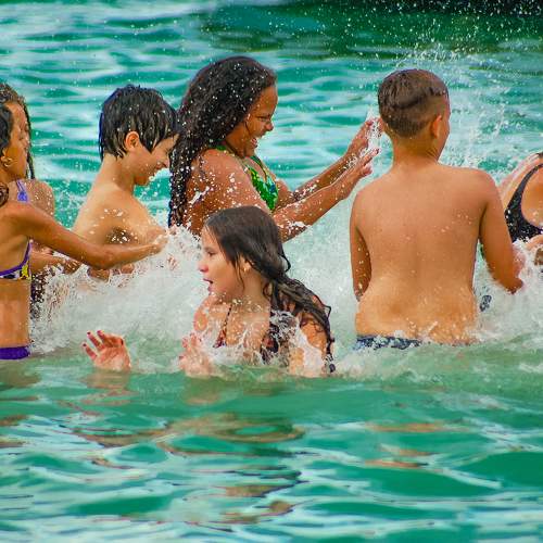 Photo #9282718