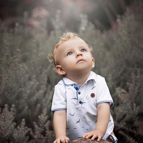 Photo #9283284