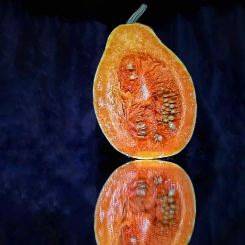 Photo #9283309