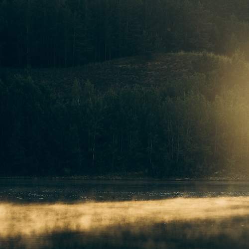 Photo #9283337