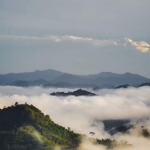 Morning breeze