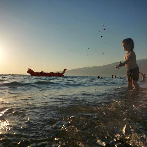 Photo #9283759