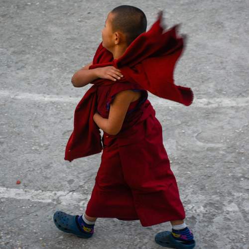 The Mini Monk in Motion
