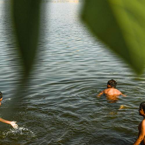 Photo #9284496