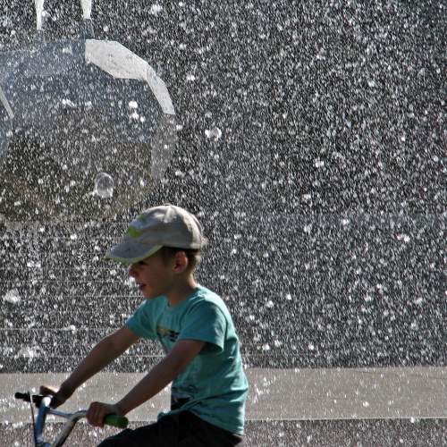 Photo #9284534