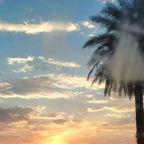 Photo #9285425